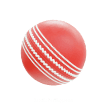 Cricket Ball
